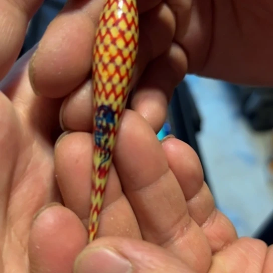 明***，不锈钢二手物品不退不换