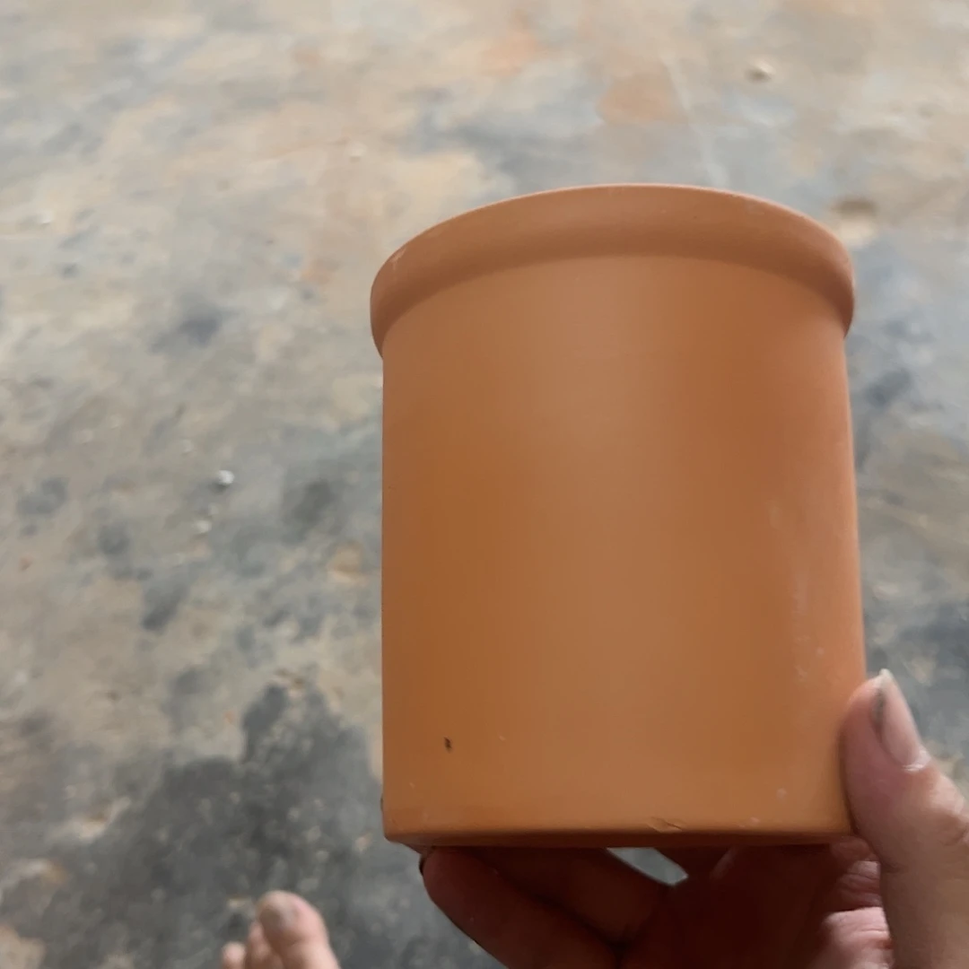 直筒12口13高1个【微瑕】