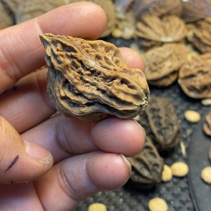 文玩核桃吊坠娜姐117
