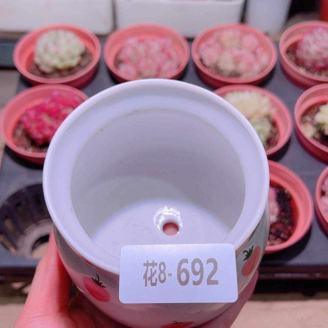 花利美8-692花盆
