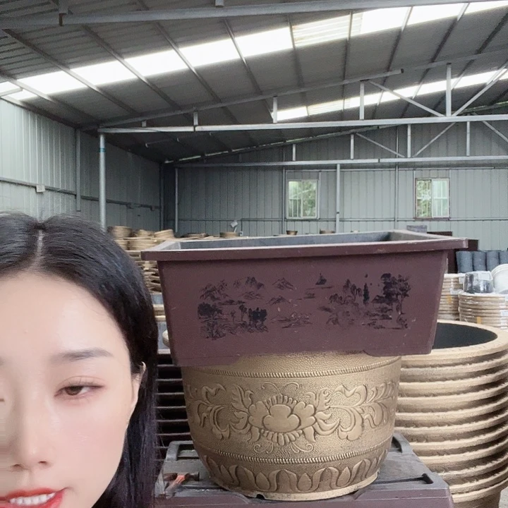 盆景40盆6个盆景60盆2个