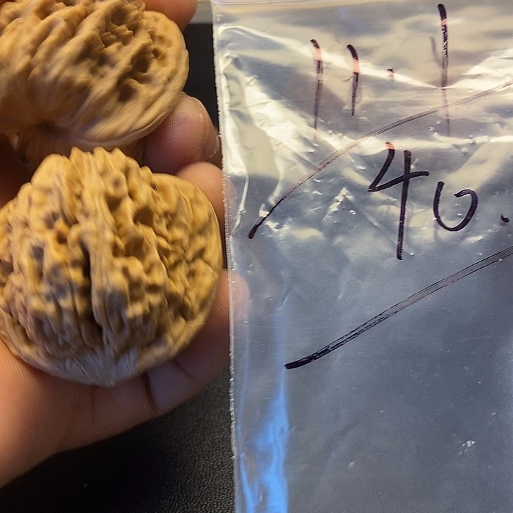 核桃十三号文玩手把件