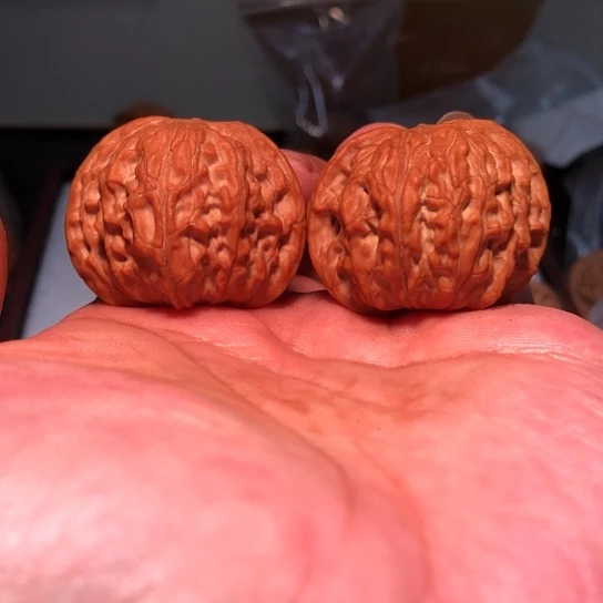 有机玻璃39正磨盘狮子头