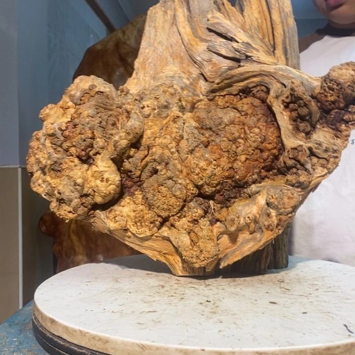 锦***白我们都是你的粉丝21