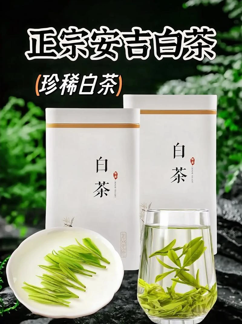 明前高山白茶浓香型新茶绿茶早春特产口粮茶