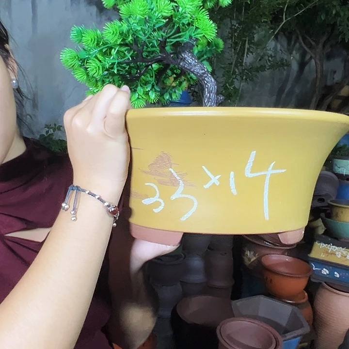33黄票口花盆花盆×2