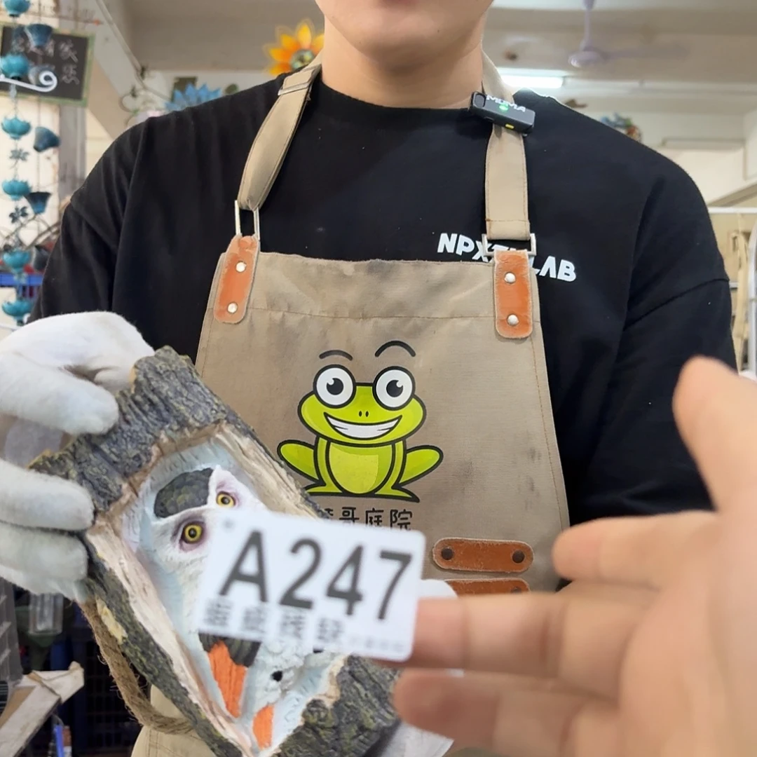 核桃木/黑胡桃（胡桃木）
