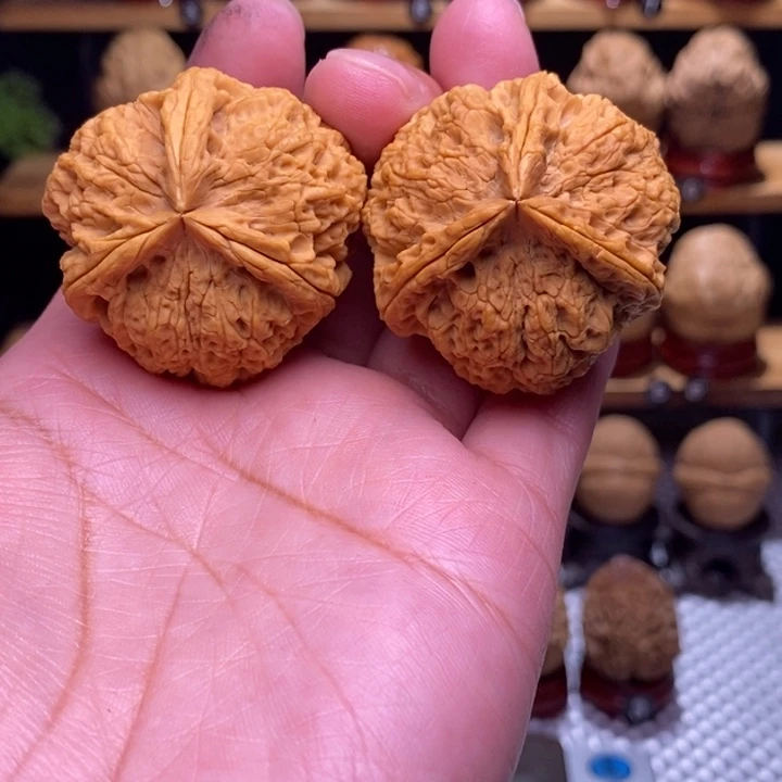 木质类云铁凌云三棱69号