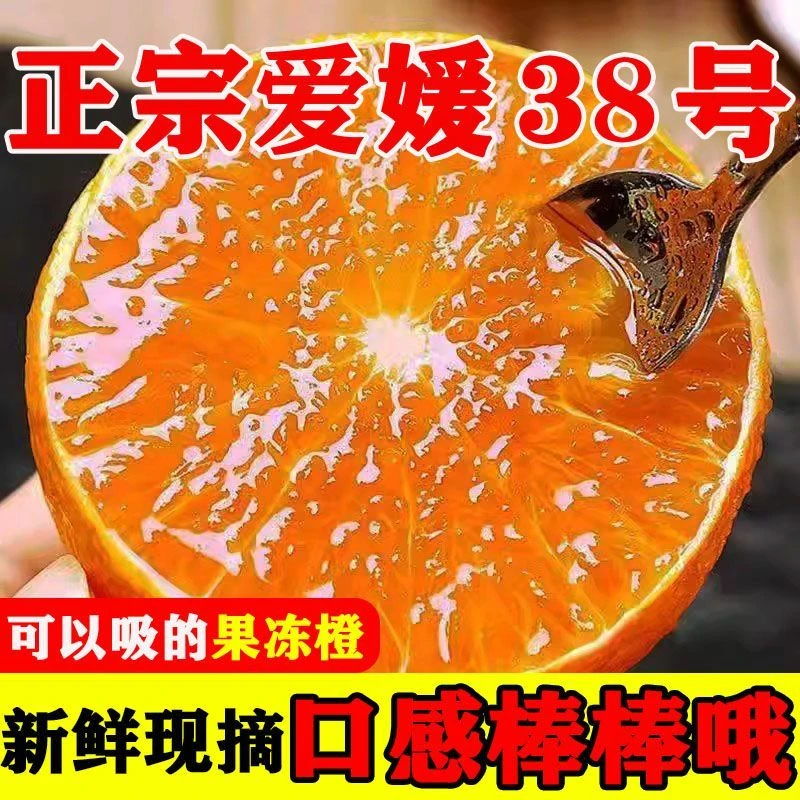 四川爱媛38号果冻橙新鲜现摘应季水果汁水充足无籽无渣