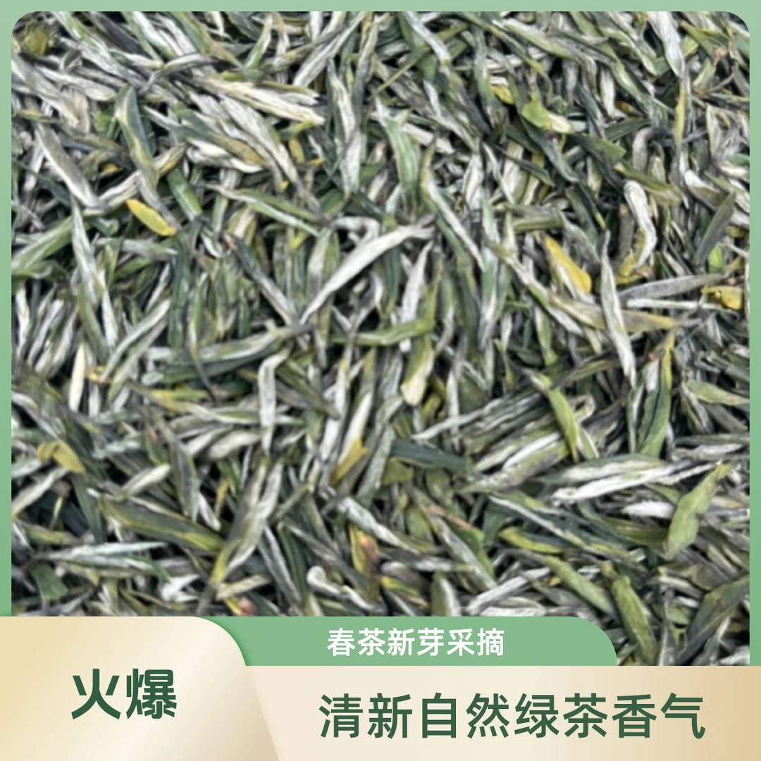 雅茗达【蒙顶雪芽】蒙顶山高山早春绿茶鲜爽甘甜毛尖玉露明前单芽头