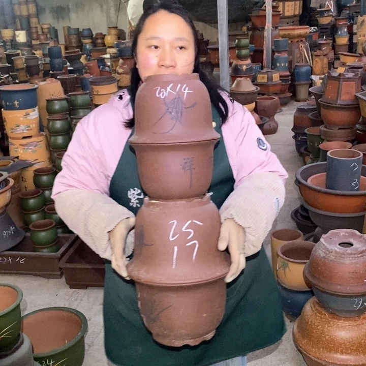 紫砂花盆紫砂花盆盆栽花卉苗木种植