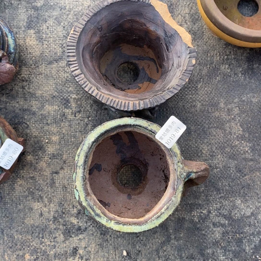 红陶陈*义81号多肉盆两个