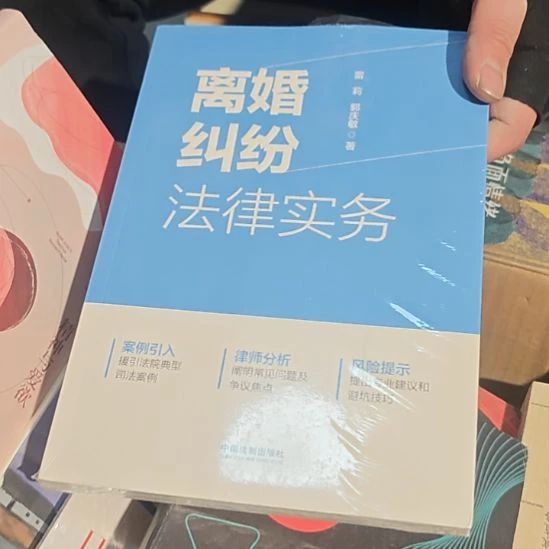 离婚纠纷法律事务平装库存书