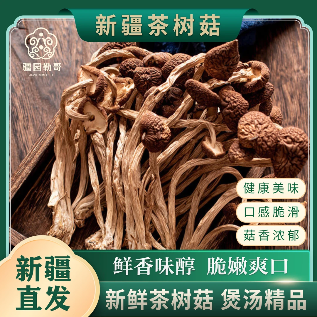 新疆原产地直发干茶树菇