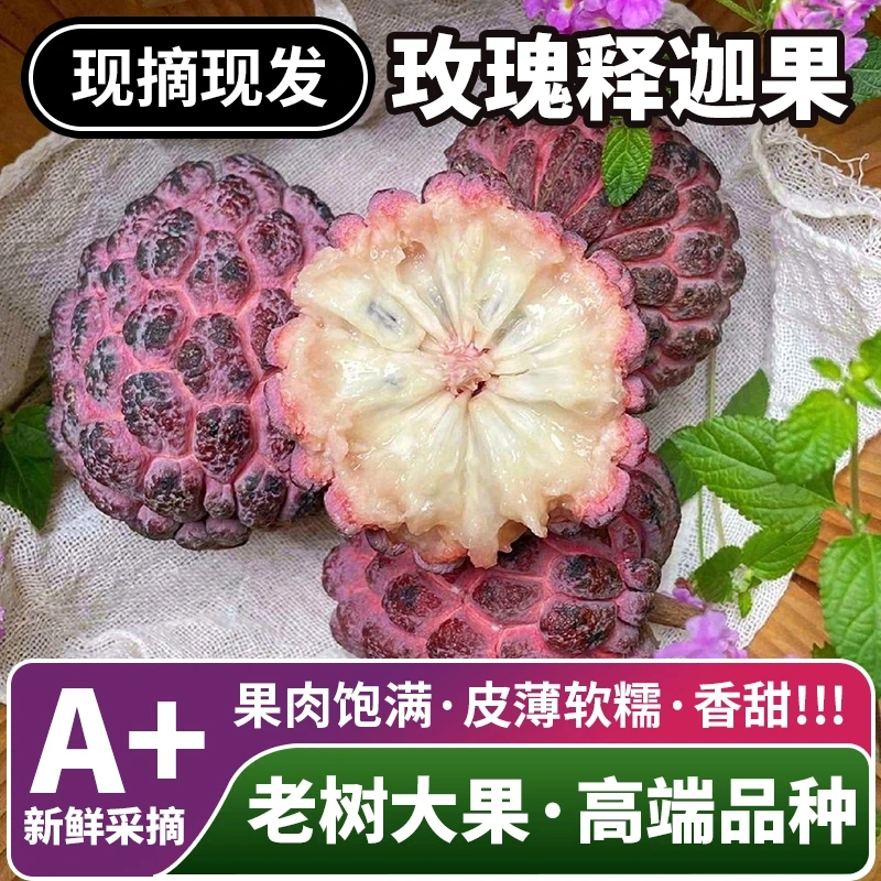 【顺丰空运】正宗玫瑰释迦果海南直发新鲜香甜现摘大果番荔枝礼盒装