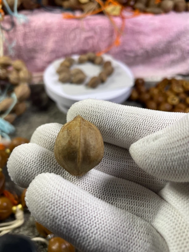 梅林老树橄榄铁核18*25