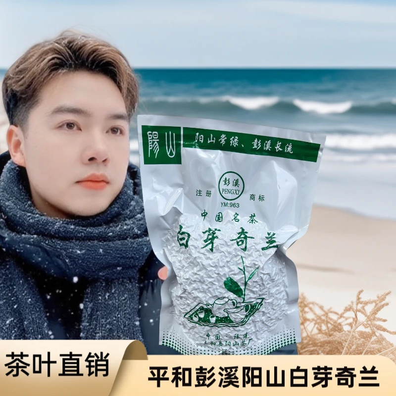 平和茶叶彭溪正宗白芽奇兰茶乌龙茶中火兰香浓郁春茶工作高山茶熟