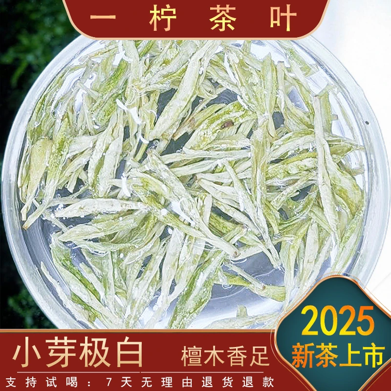 〖头春头采〗J2 一斤装头采极白白茶