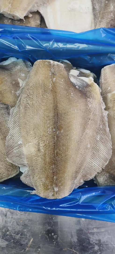 整箱16斤  深海鲽鱼身  顺丰包邮