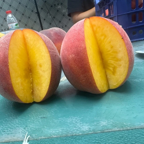 【果园直供】 尚峰尚水 金陵黄露 4斤箱装