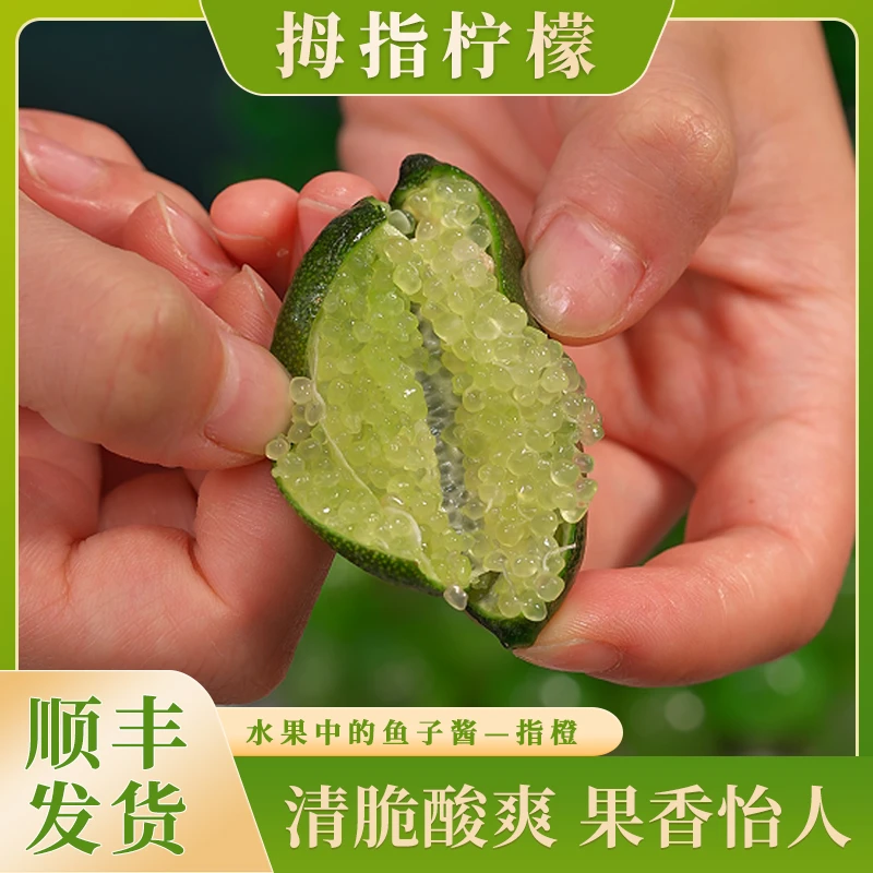 【顺丰】拇指柠檬稀有水果手指柠檬鱼子酱指橙新鲜水果西餐摆盘点缀