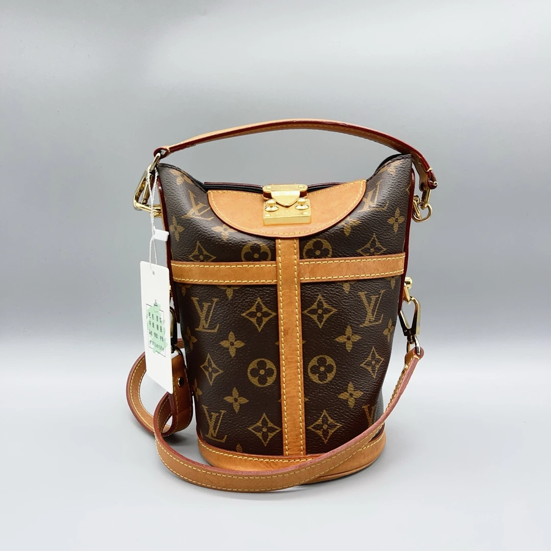 95新 LouisVuitton/路易威登  老花薯条包  1668 1482