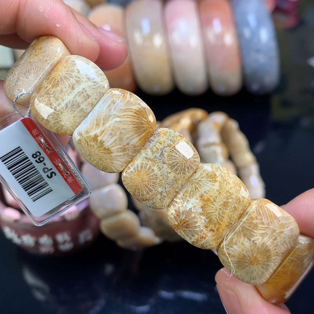【闪购商品】颈饰未镶嵌硅化珊瑚（珊瑚玉）16号全满大花