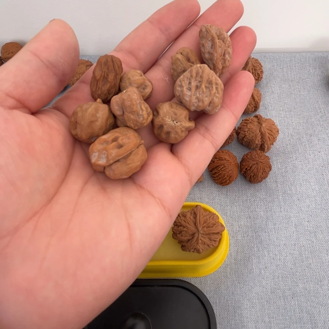 田***大核桃核桃核桃核桃