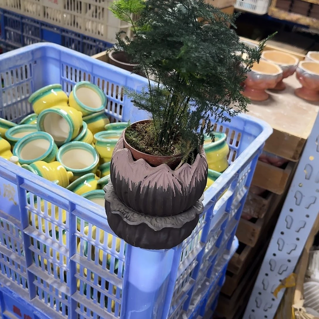 3件套福利局［凑9元包邮24小时发］