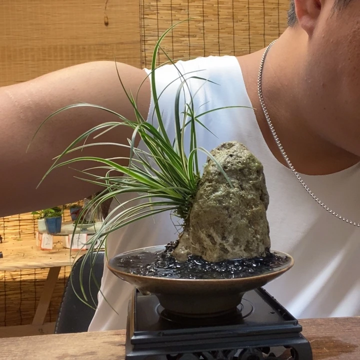 泡*?一物一拍所见即所得159