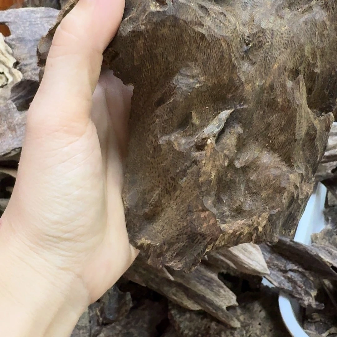 用***9沉香沉香碎屑海南奇楠母树树头油154克