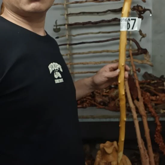 游***水香榧木高山 檬子木文玩料