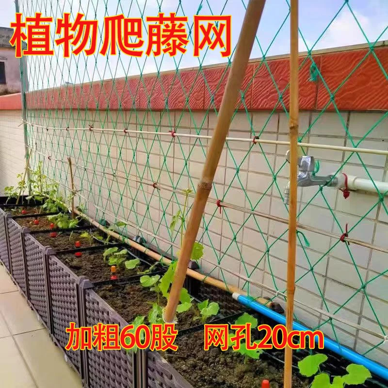 百香果网植物爬藤网加粗黄瓜网吊瓜种植葡萄架网园艺攀爬网防护网