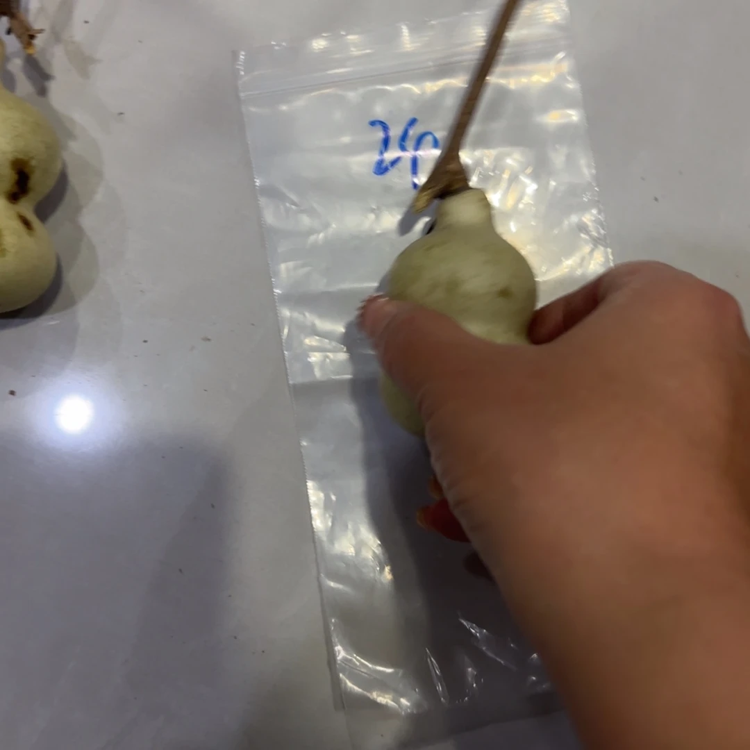 东***龙青皮不包成：这两条裙子就算完