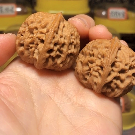 精品龙眼元宝全品