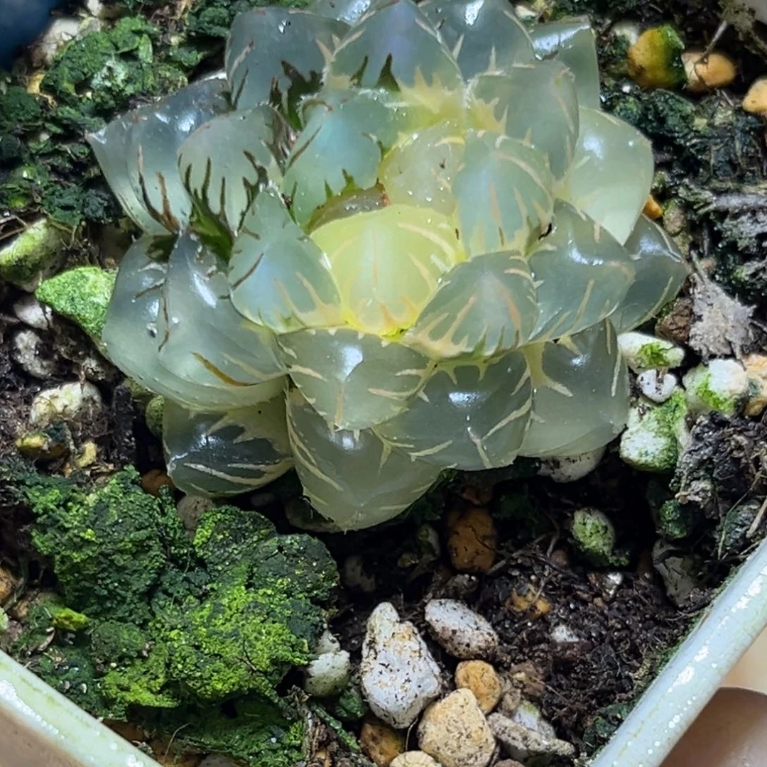 恭喜发财大吉大利879