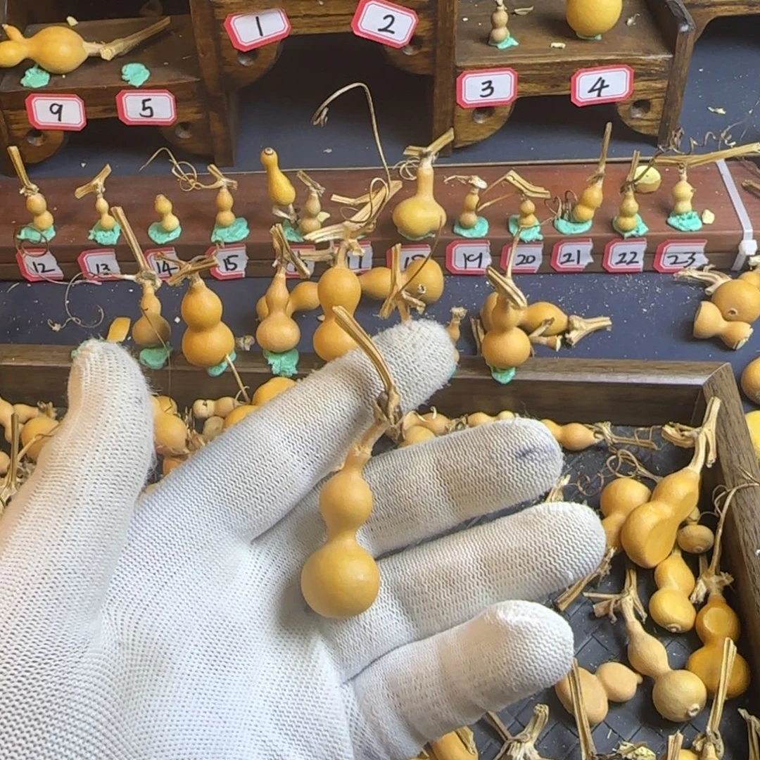 洋*洋我也是很喜欢这个节目的