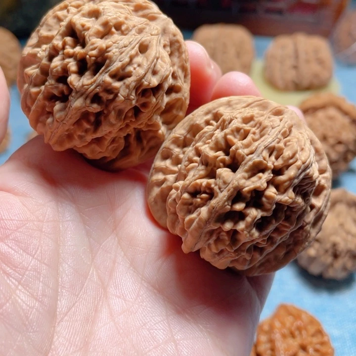 捞**条42尺寸四座楼狮子头