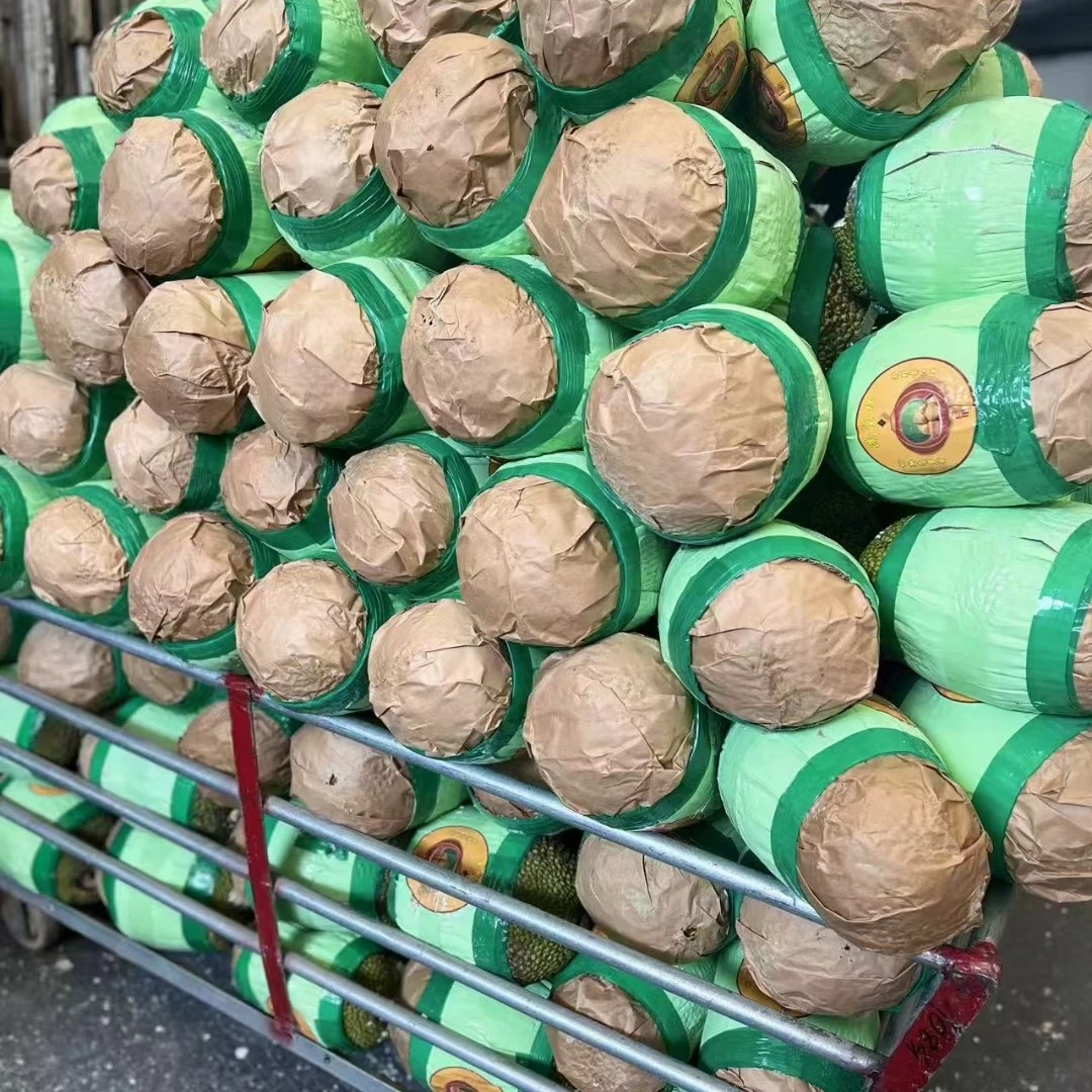 红肉菠萝蜜  播 挑 剔 介意勿拍 免费去心越南