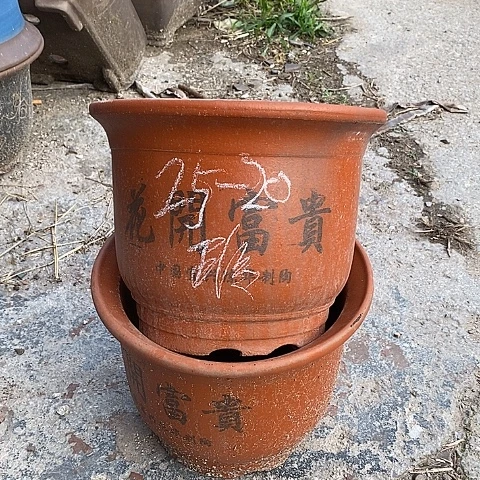 中国离心紫砂花盆，