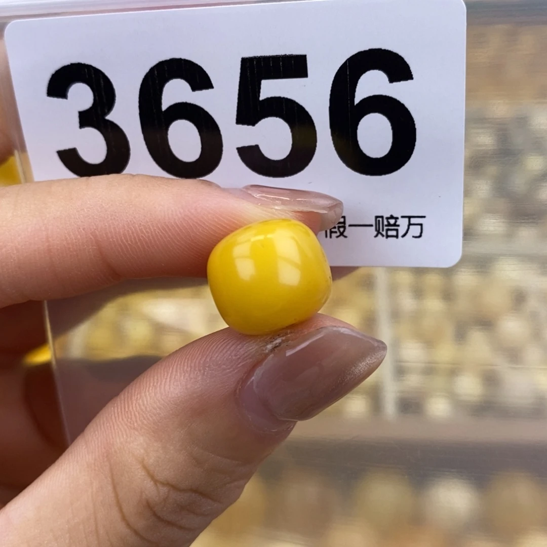 未镶嵌蜜蜡珠宝奇石12.2