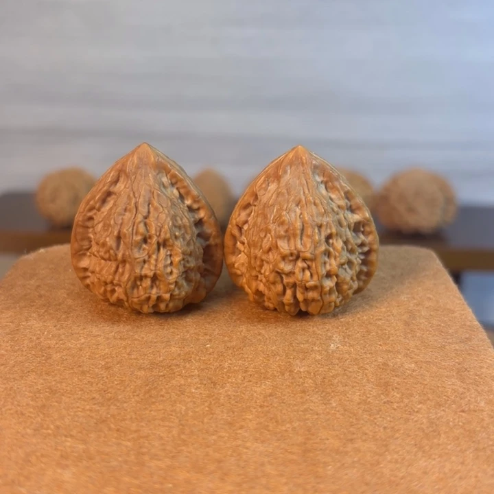 蛇王一抹37尺有修