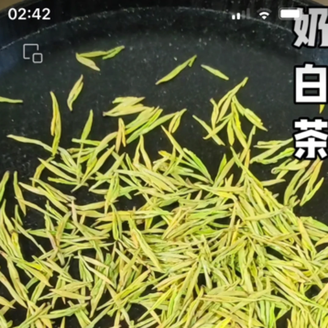 2025奶白香醇味甘至尊高货