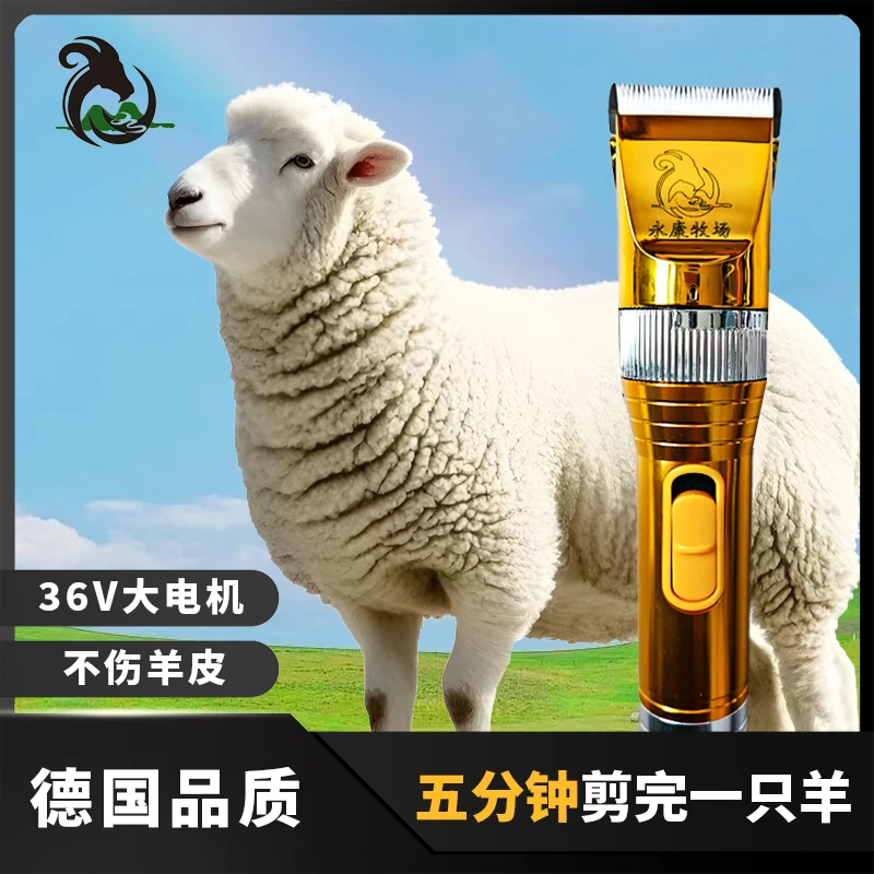 永康电推剪适用于山羊绵羊兔子狗等各种宠物