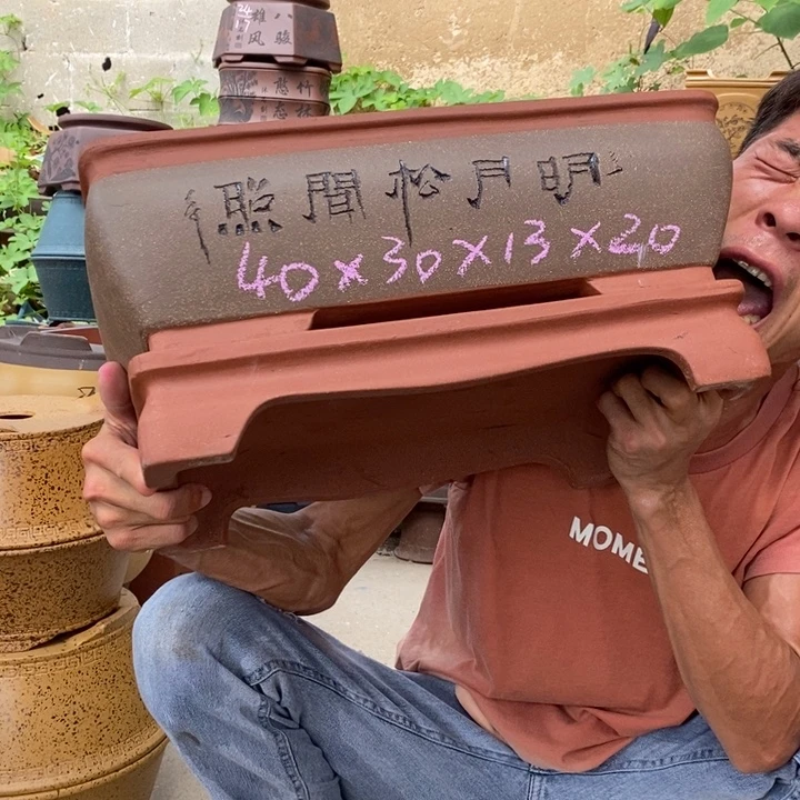 紫砂紫砂紫砂紫砂