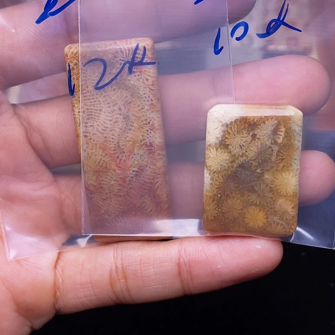 堇***y硅化玉合金珊瑚玉