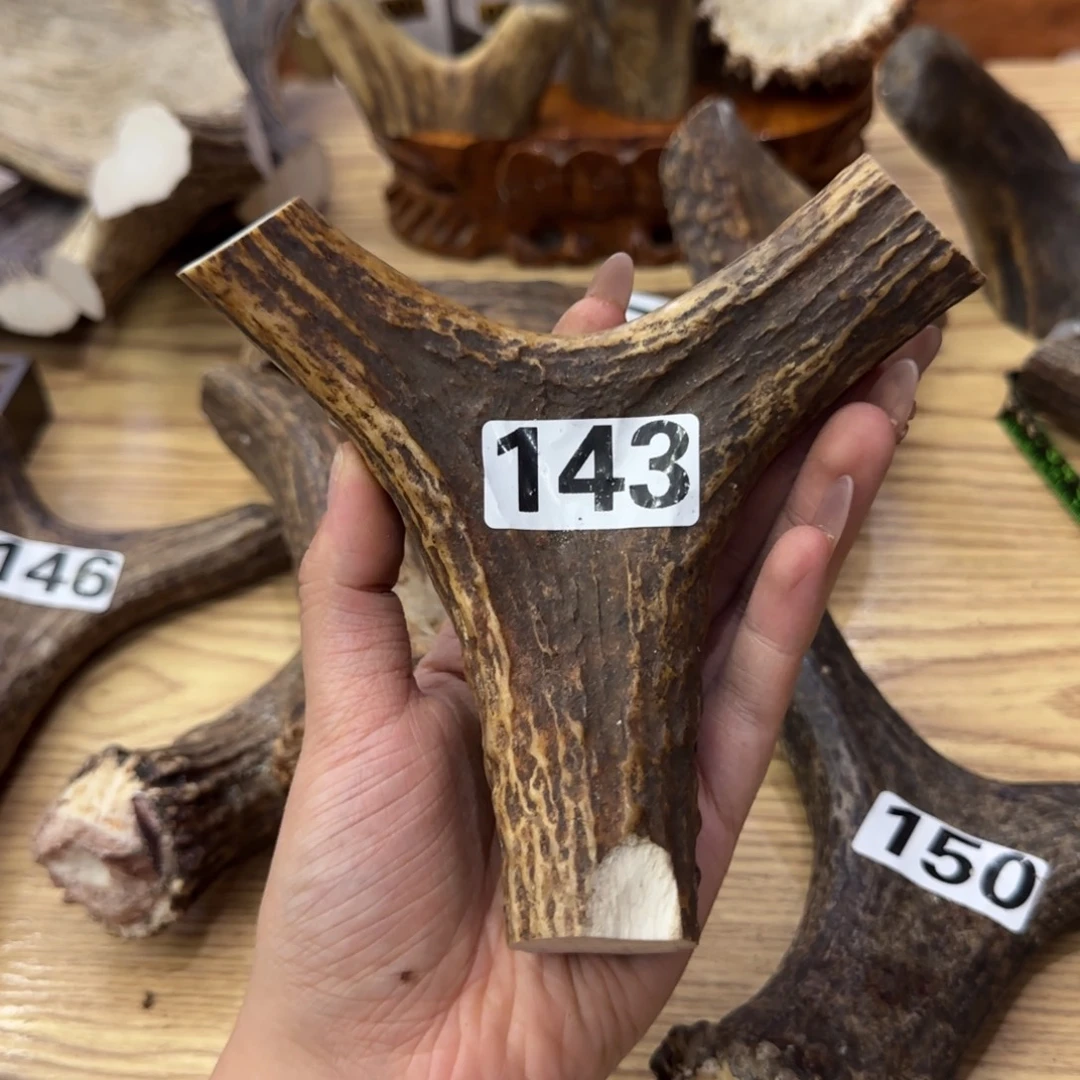 鹿骨其他143弹弓13×13.5×29