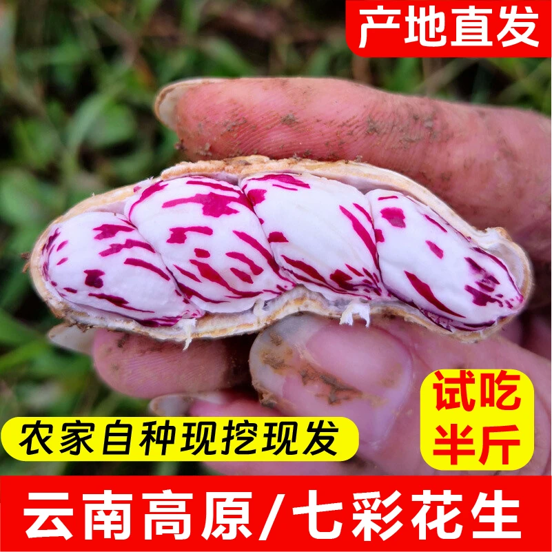 【不带泥试吃半斤】现挖七彩花生1/2/3/5/9斤云南高原新鲜饱满脆甜B