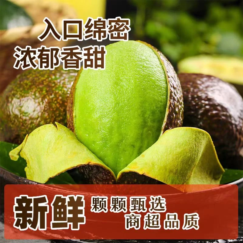 【亏本冲量！催熟食用】巨无霸特大秘鲁进口牛油果2个装单果180-210g