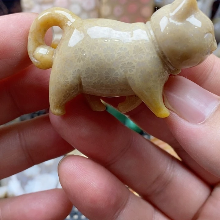 硅化珊瑚（珊瑚玉）颈饰未镶嵌